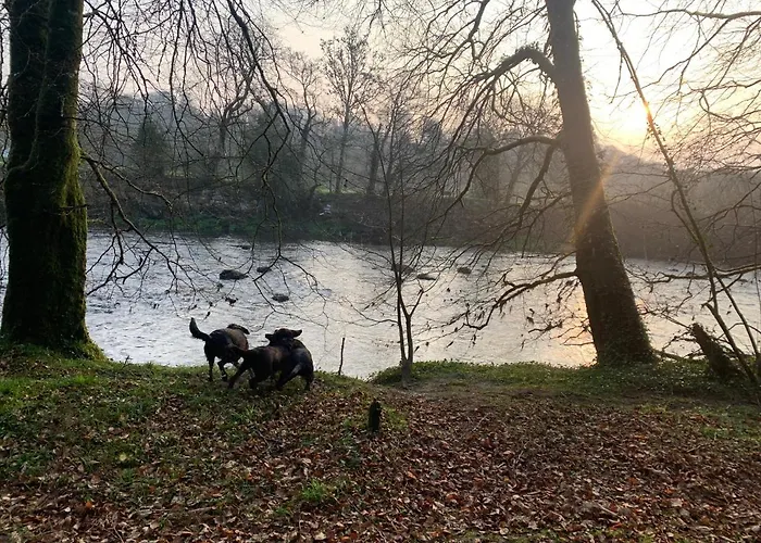 Cillcearn House Bed and breakfast Killarney