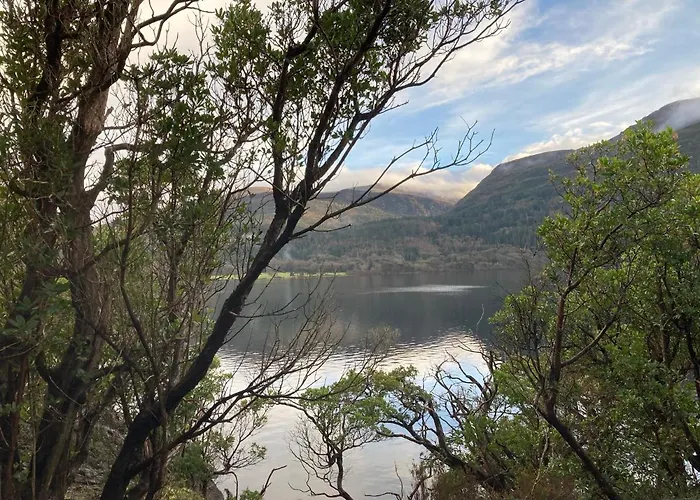 Bed and breakfast Cillcearn House 3*