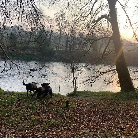 Cillcearn House Bed & Breakfast Killarney